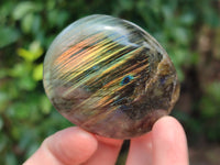 Polished Labradorite Palm Stones x 16 From Tulear, Madagascar