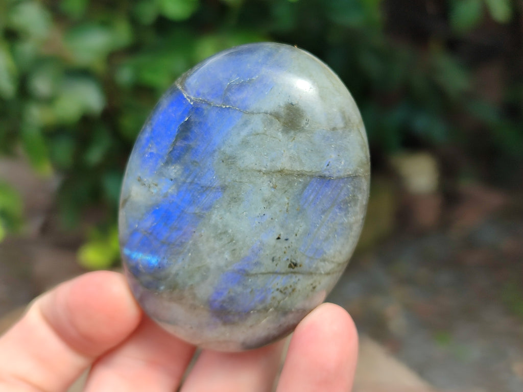 Polished Labradorite Palm Stones x 16 From Tulear, Madagascar - Toprock Gemstones and Minerals 