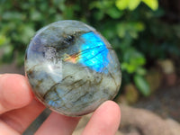 Polished Labradorite Palm Stones x 16 From Tulear, Madagascar