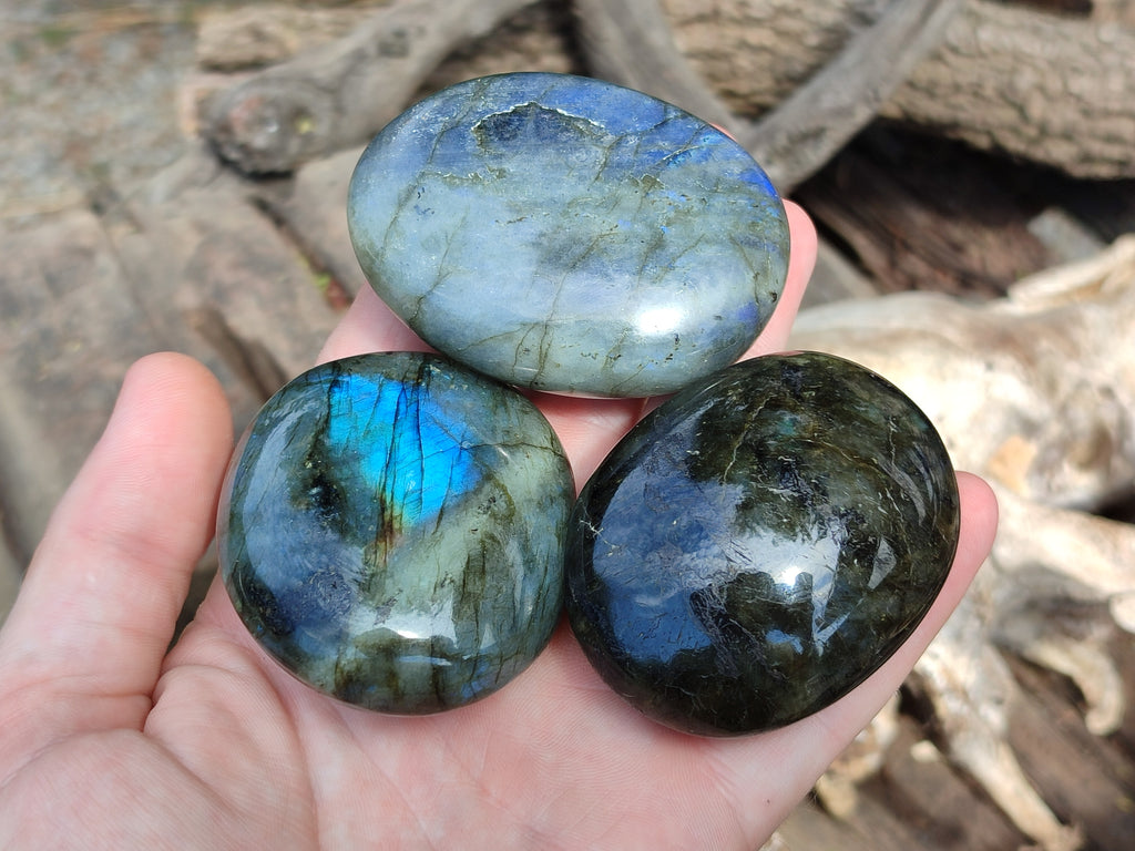 Polished Labradorite Palm Stones x 16 From Tulear, Madagascar - Toprock Gemstones and Minerals 