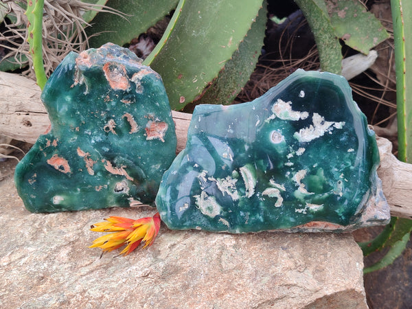 Polished On One Side Emerald Mtorolite Plates x 2 From Mutorashanga, Zimbabwe - Toprock Gemstones and Minerals 