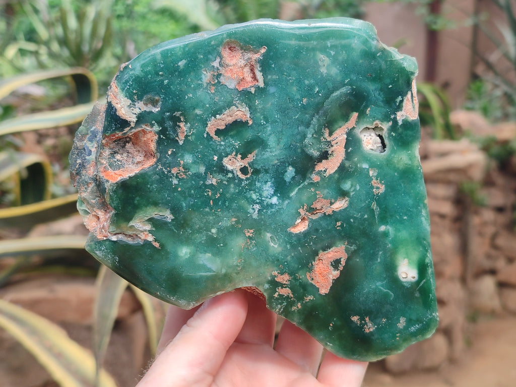 Polished On One Side Emerald Mtorolite Plates x 2 From Mutorashanga, Zimbabwe - Toprock Gemstones and Minerals 