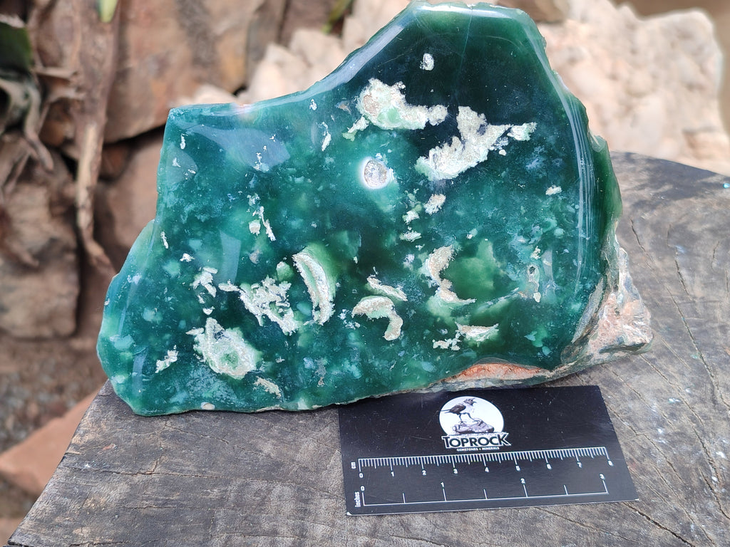 Polished On One Side Emerald Mtorolite Plates x 2 From Mutorashanga, Zimbabwe - Toprock Gemstones and Minerals 