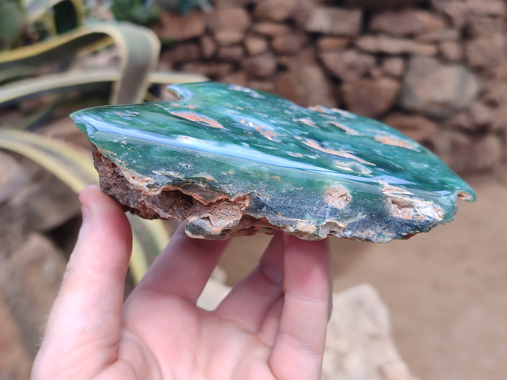 Polished On One Side Emerald Mtorolite Plates x 2 From Mutorashanga, Zimbabwe - Toprock Gemstones and Minerals 