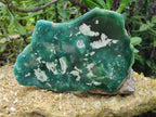 Polished On One Side Emerald Mtorolite Plates x 2 From Mutorashanga, Zimbabwe - Toprock Gemstones and Minerals 
