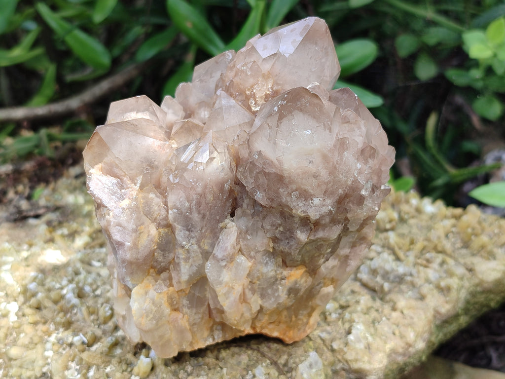 Natural Smokey Phantom Quartz Clusters x 2 From Luena, Congo - Toprock Gemstones and Minerals 