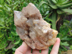 Natural Smokey Phantom Quartz Clusters x 2 From Luena, Congo - Toprock Gemstones and Minerals 