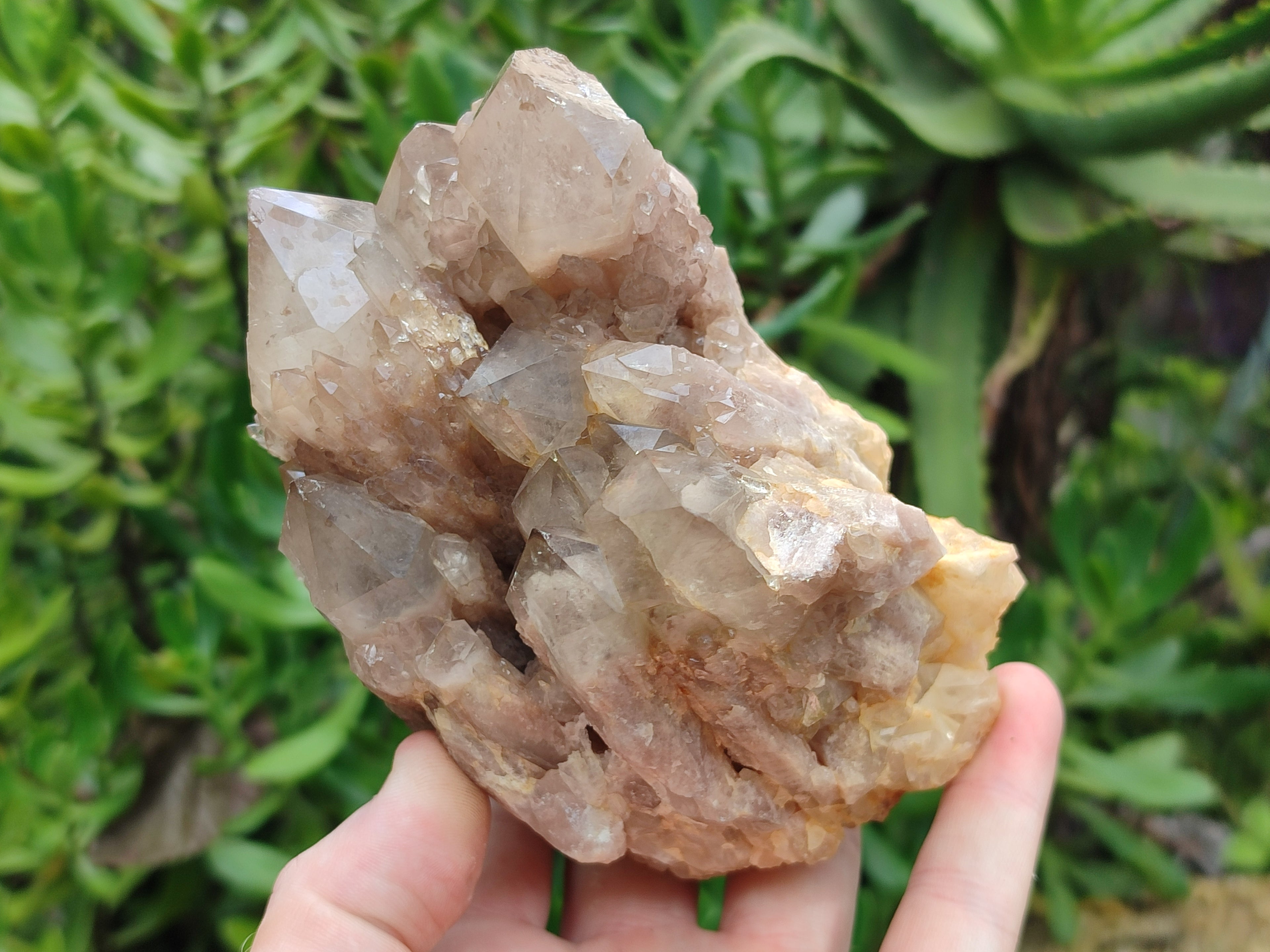 Natural Smokey Phantom Quartz Clusters x 2 From Luena, Congo - Toprock Gemstones and Minerals 