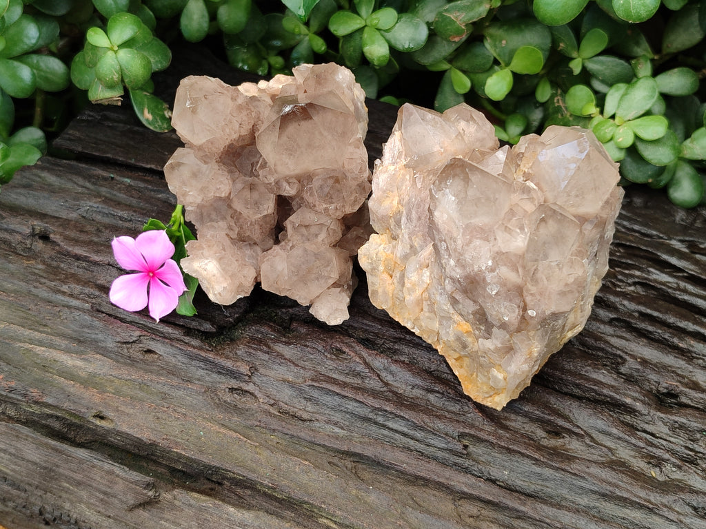 Natural Smokey Phantom Quartz Clusters x 2 From Luena, Congo - Toprock Gemstones and Minerals 