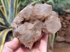 Natural Smokey Phantom Quartz Clusters x 2 From Luena, Congo - Toprock Gemstones and Minerals 