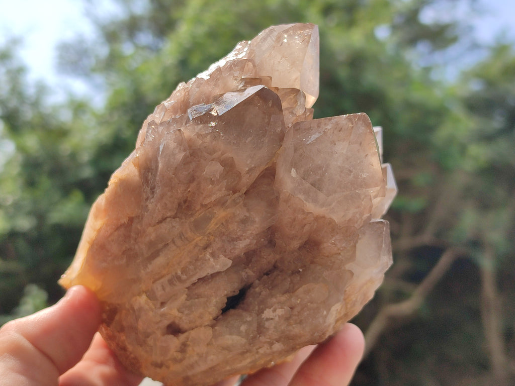Natural Smokey Phantom Quartz Clusters x 2 From Luena, Congo - Toprock Gemstones and Minerals 