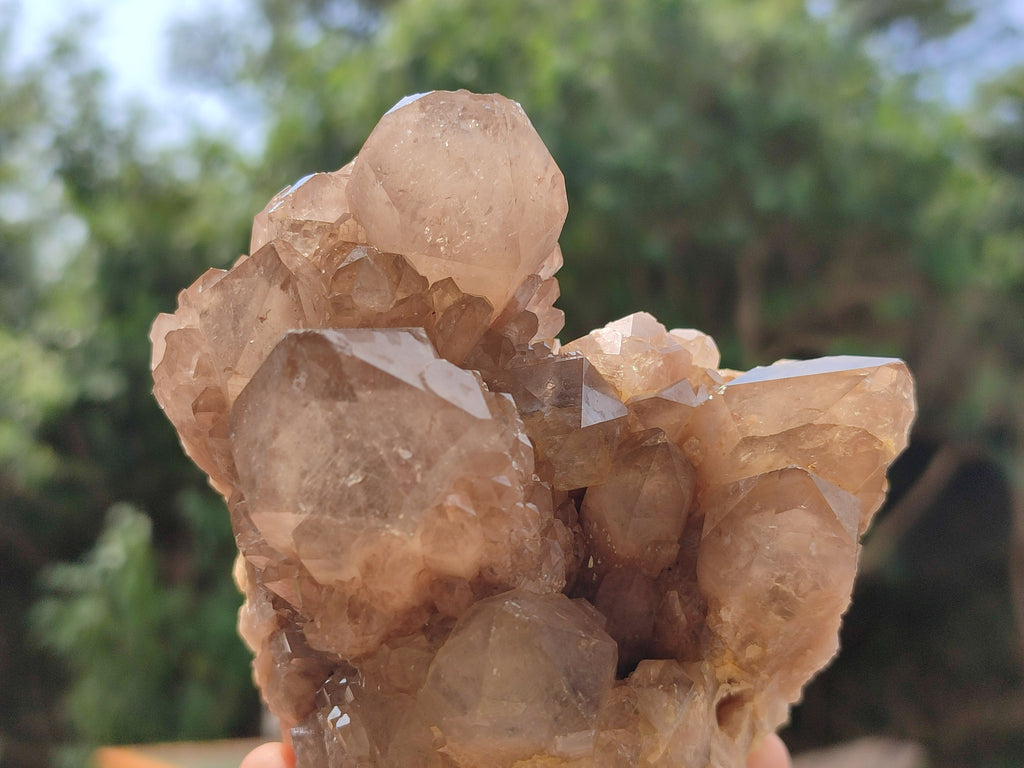 Natural Smokey Phantom Quartz Clusters x 2 From Luena, Congo - Toprock Gemstones and Minerals 