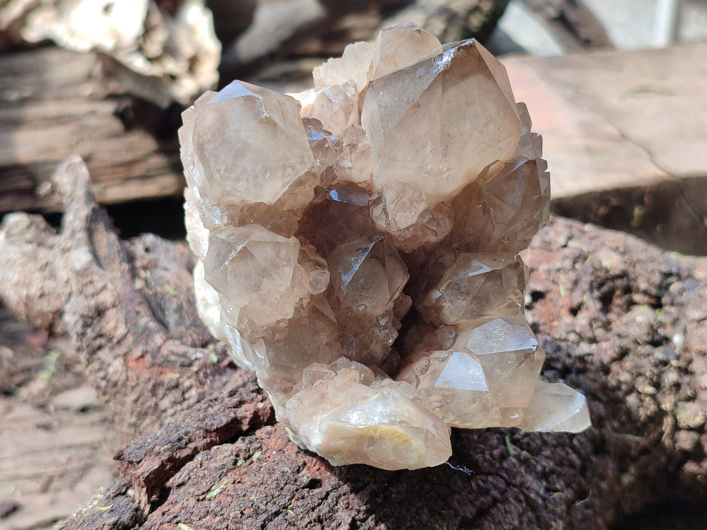 Natural Smokey Phantom Quartz Clusters x 2 From Luena, Congo - Toprock Gemstones and Minerals 