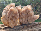 Natural Smokey Phantom Quartz Clusters x 2 From Luena, Congo - Toprock Gemstones and Minerals 