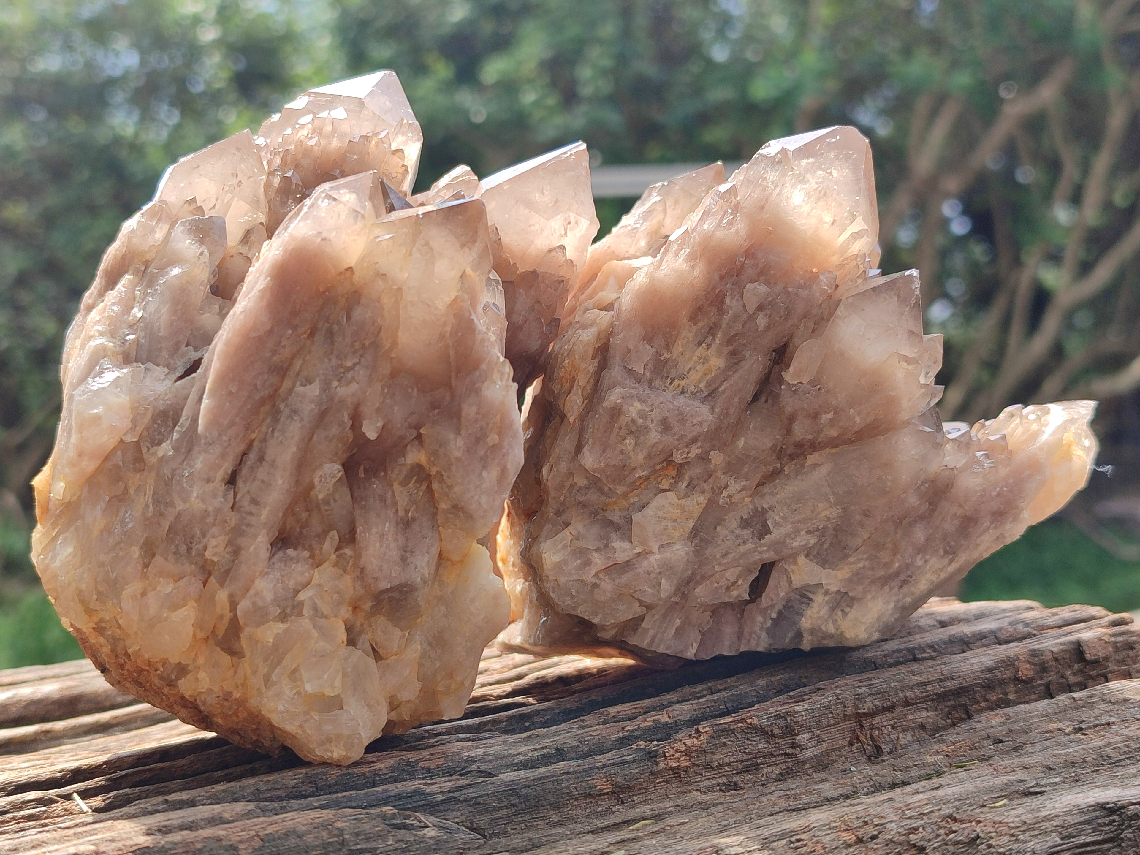 Natural Smokey Phantom Quartz Clusters x 2 From Luena, Congo - Toprock Gemstones and Minerals 
