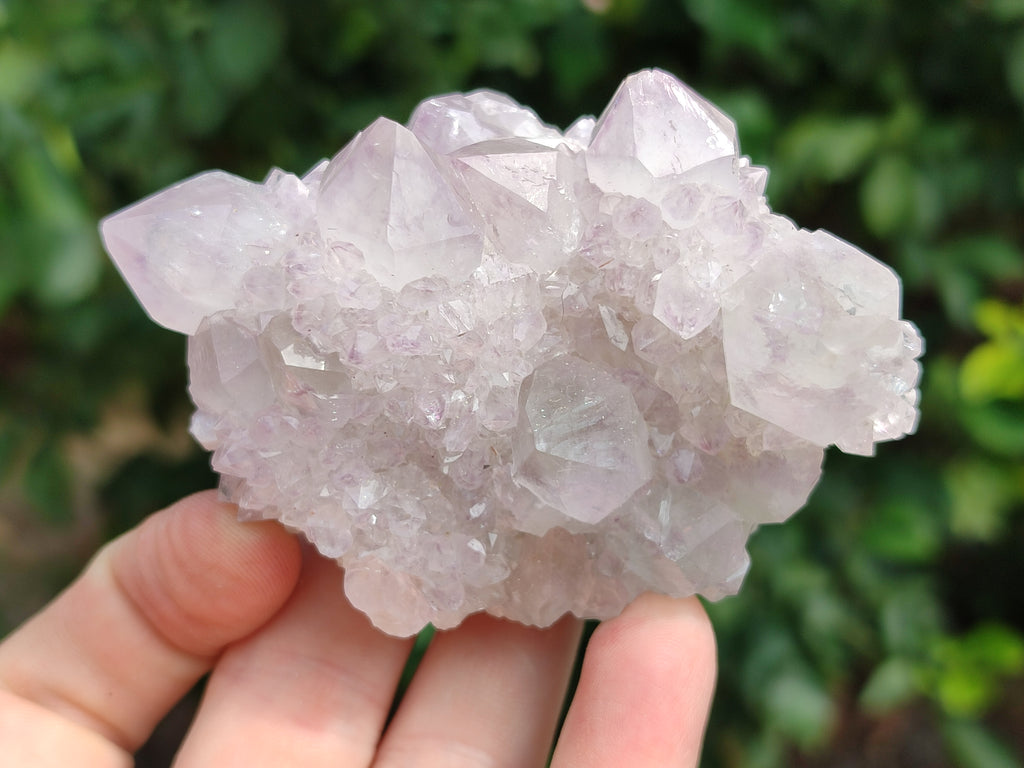 Natural Dark Amethyst Spirit Quartz Clusters x 6 From Boekenhouthoek, South Africa - Toprock Gemstones and Minerals 