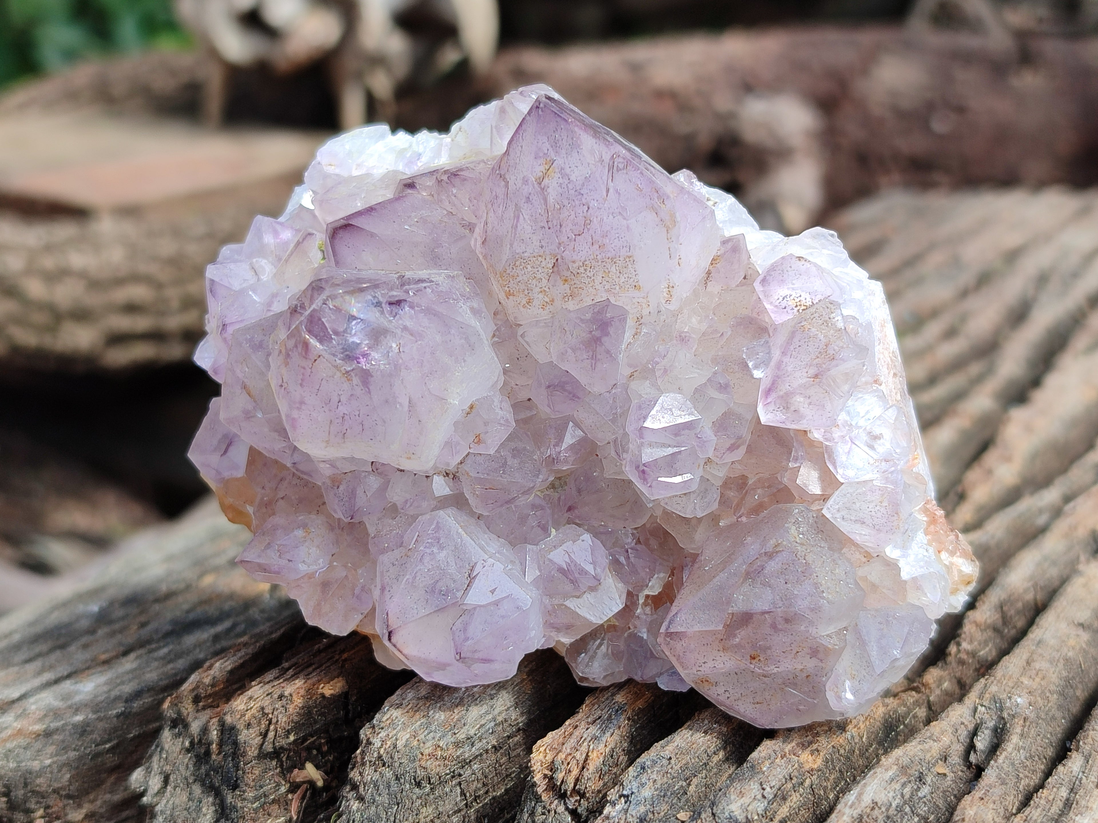 Natural Dark Amethyst Spirit Quartz Clusters x 6 From Boekenhouthoek, South Africa - Toprock Gemstones and Minerals 