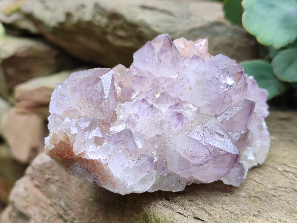 Natural Dark Amethyst Spirit Quartz Clusters x 6 From Boekenhouthoek, South Africa - Toprock Gemstones and Minerals 