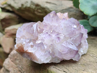 Natural Dark Amethyst Spirit Quartz Clusters x 6 From Boekenhouthoek, South Africa - Toprock Gemstones and Minerals 