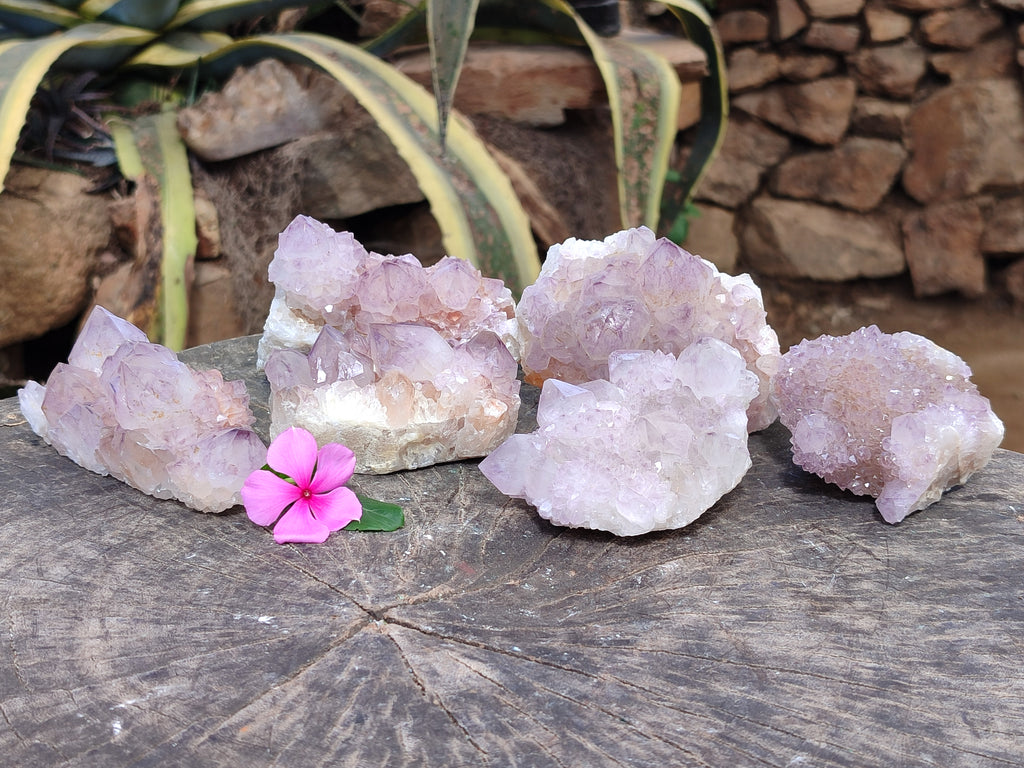 Natural Dark Amethyst Spirit Quartz Clusters x 6 From Boekenhouthoek, South Africa - Toprock Gemstones and Minerals 