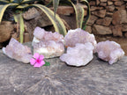 Natural Dark Amethyst Spirit Quartz Clusters x 6 From Boekenhouthoek, South Africa - Toprock Gemstones and Minerals 