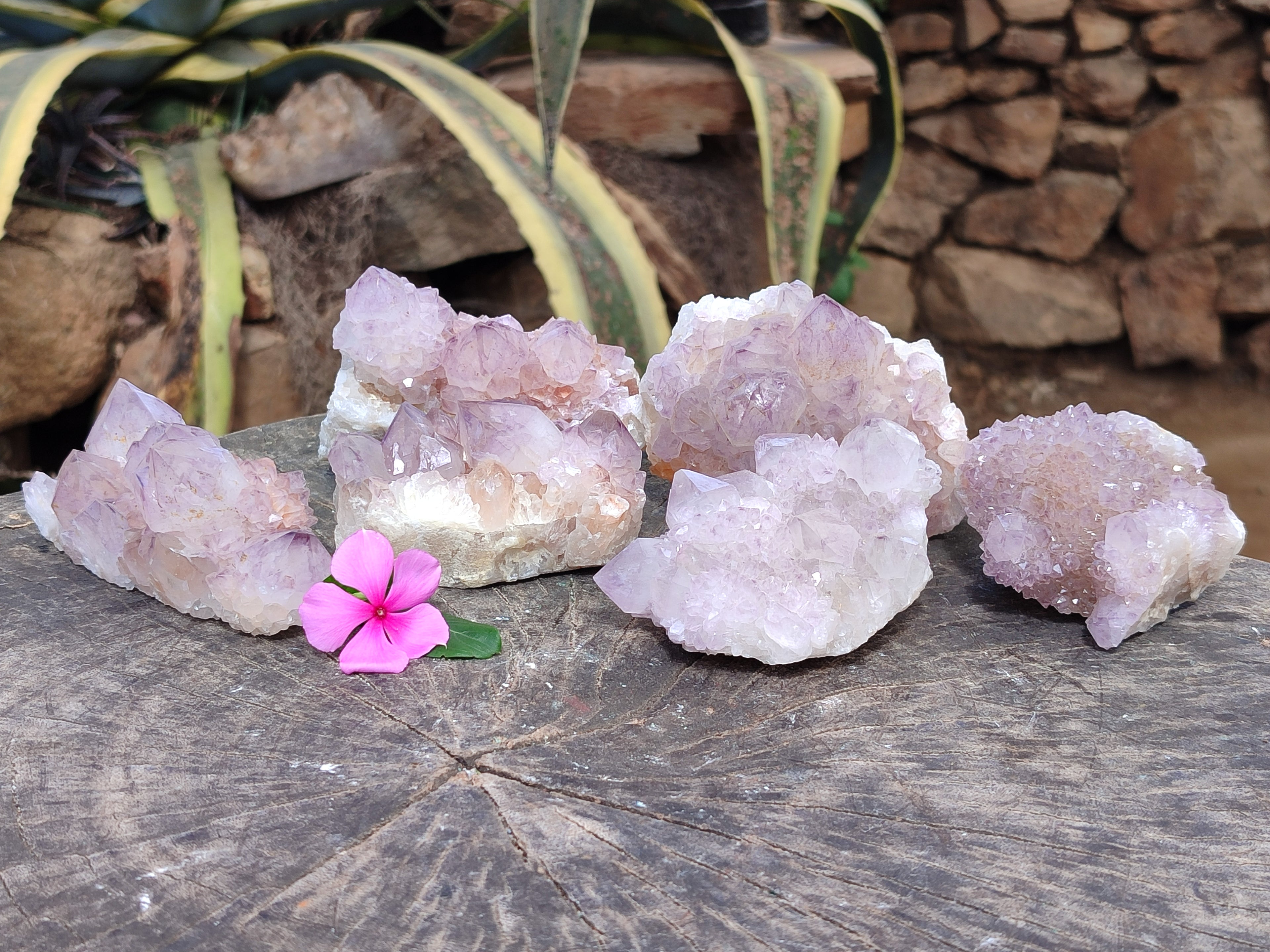 Natural Dark Amethyst Spirit Quartz Clusters x 6 From Boekenhouthoek, South Africa - Toprock Gemstones and Minerals 