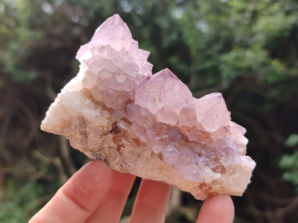 Natural Dark Amethyst Spirit Quartz Clusters x 6 From Boekenhouthoek, South Africa - Toprock Gemstones and Minerals 