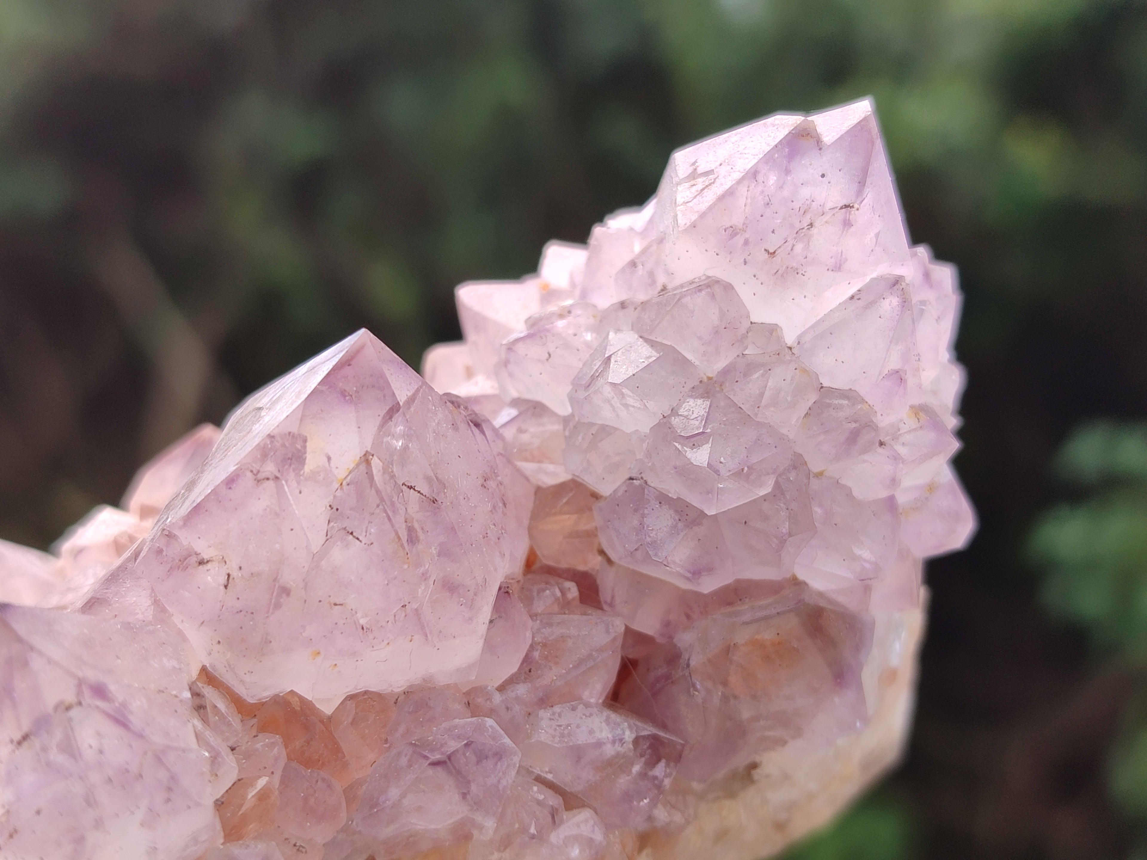 Natural Dark Amethyst Spirit Quartz Clusters x 6 From Boekenhouthoek, South Africa - Toprock Gemstones and Minerals 