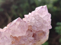 Natural Dark Amethyst Spirit Quartz Clusters x 6 From Boekenhouthoek, South Africa - Toprock Gemstones and Minerals 