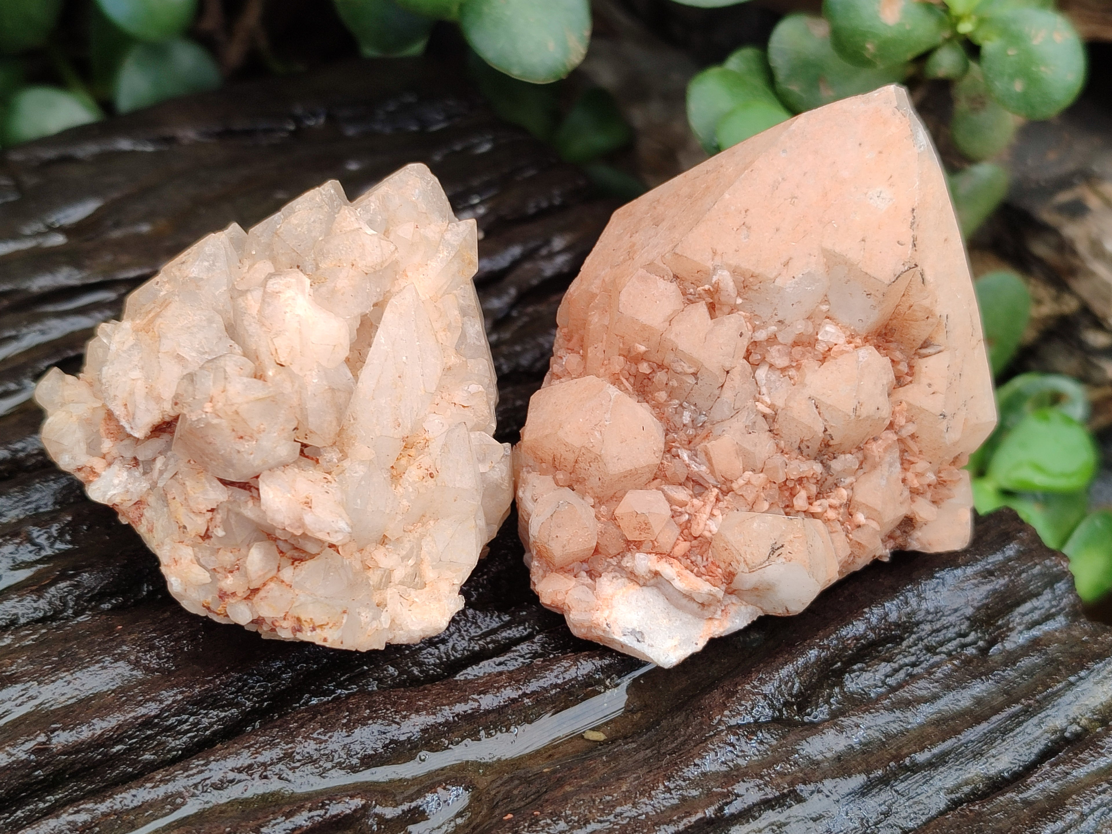 Natural Mixed Quartz Clusters x 12 From Madagascar - Toprock Gemstones and Minerals 