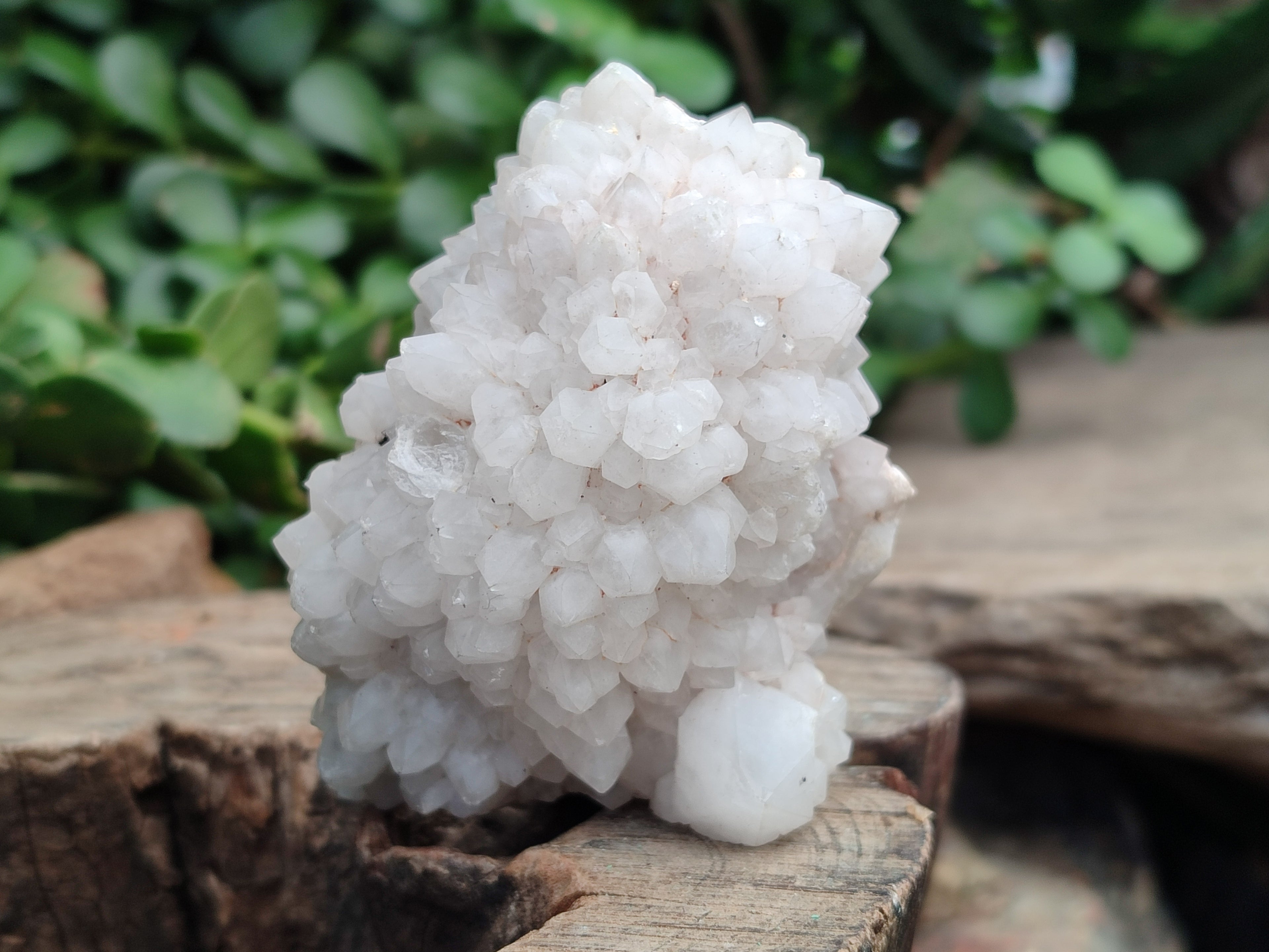 Natural Mixed Quartz Clusters x 12 From Madagascar - Toprock Gemstones and Minerals 