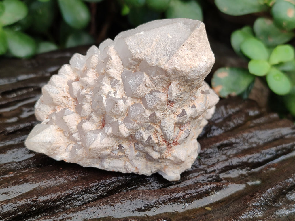 Natural Mixed Quartz Clusters x 12 From Madagascar - Toprock Gemstones and Minerals 