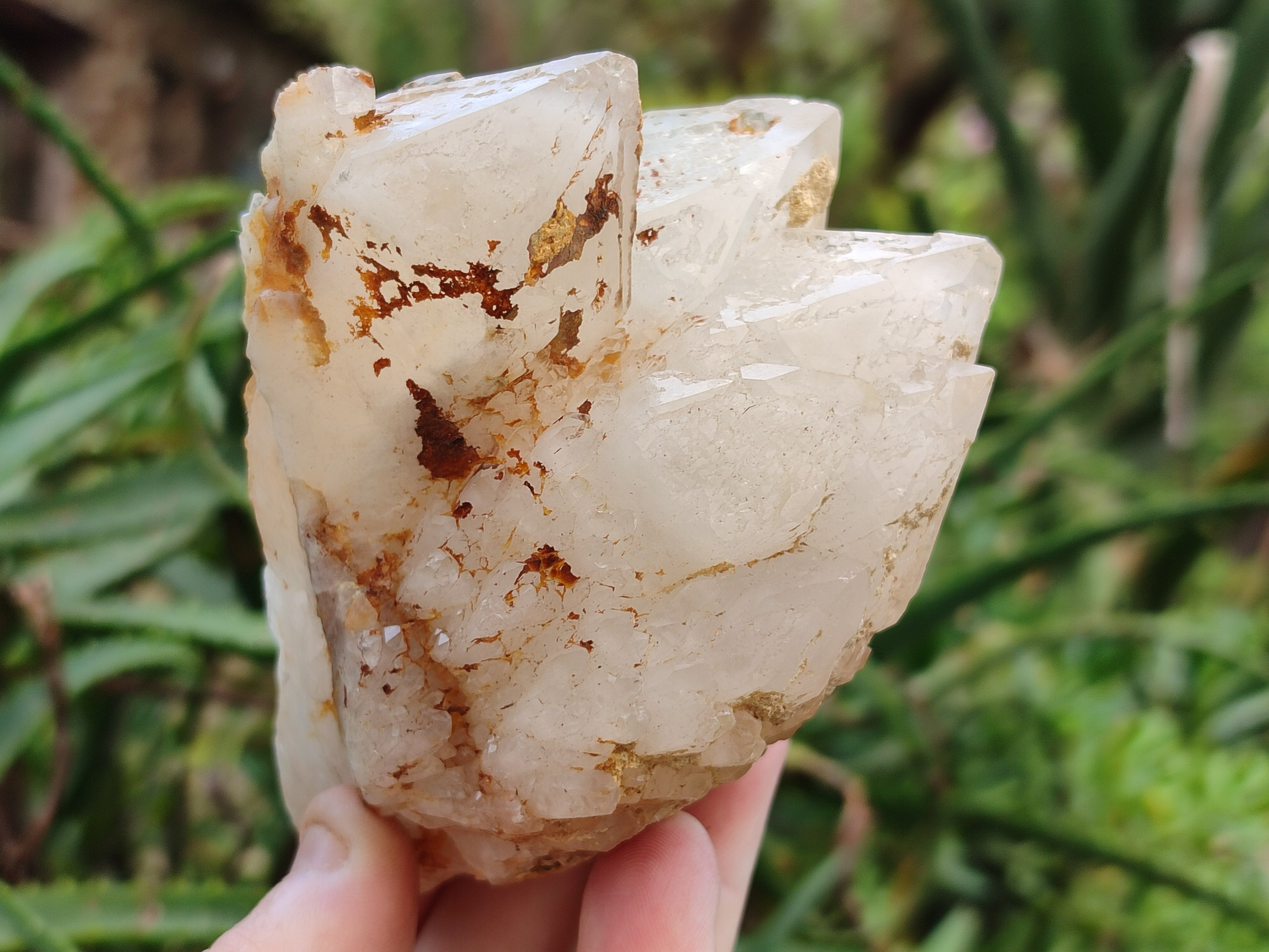 Natural Mixed Quartz Clusters x 12 From Madagascar - Toprock Gemstones and Minerals 