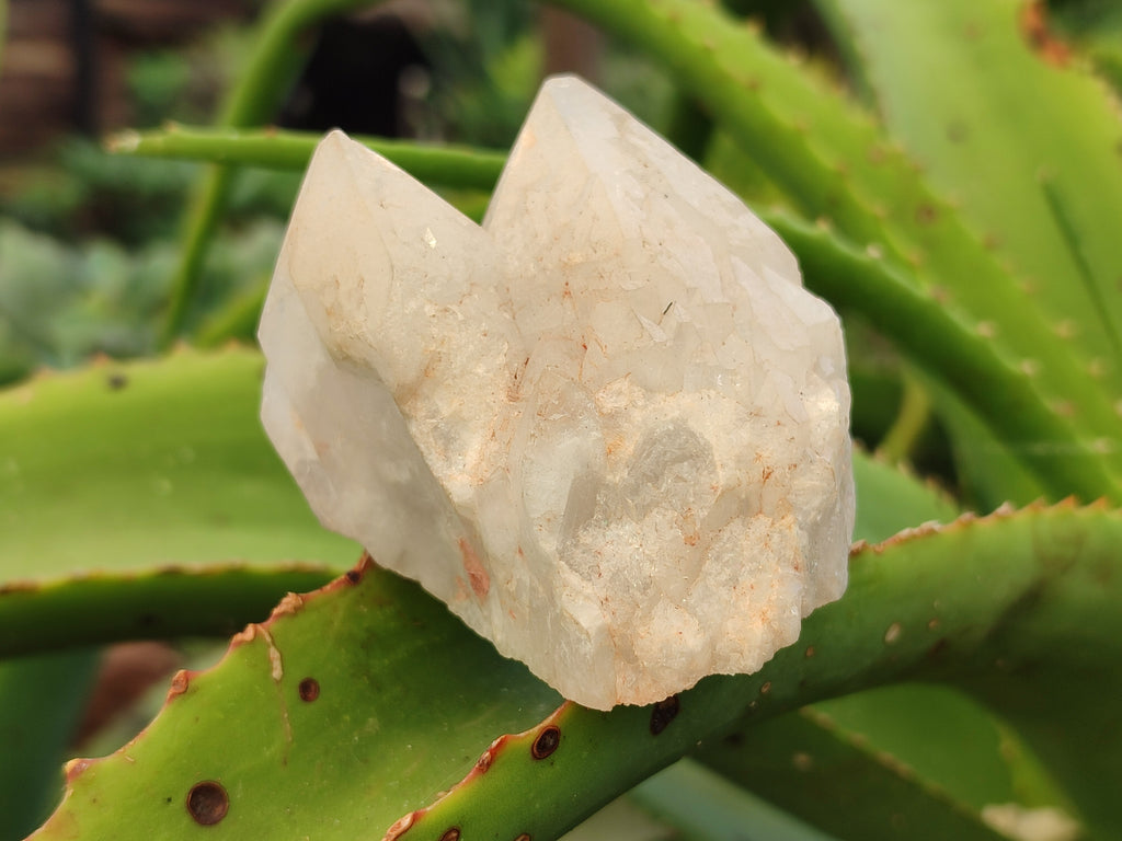 Natural Mixed Quartz Clusters x 12 From Madagascar - Toprock Gemstones and Minerals 