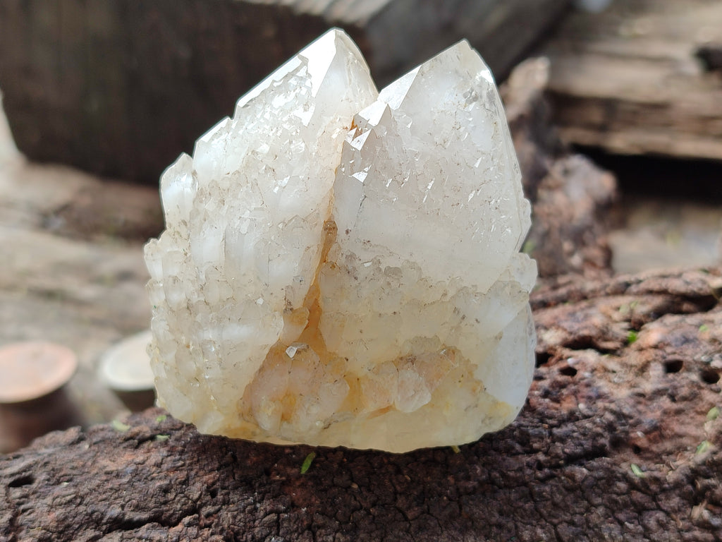 Natural Mixed Quartz Clusters x 12 From Madagascar - Toprock Gemstones and Minerals 