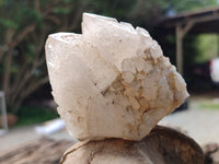 Natural Mixed Quartz Clusters x 12 From Madagascar