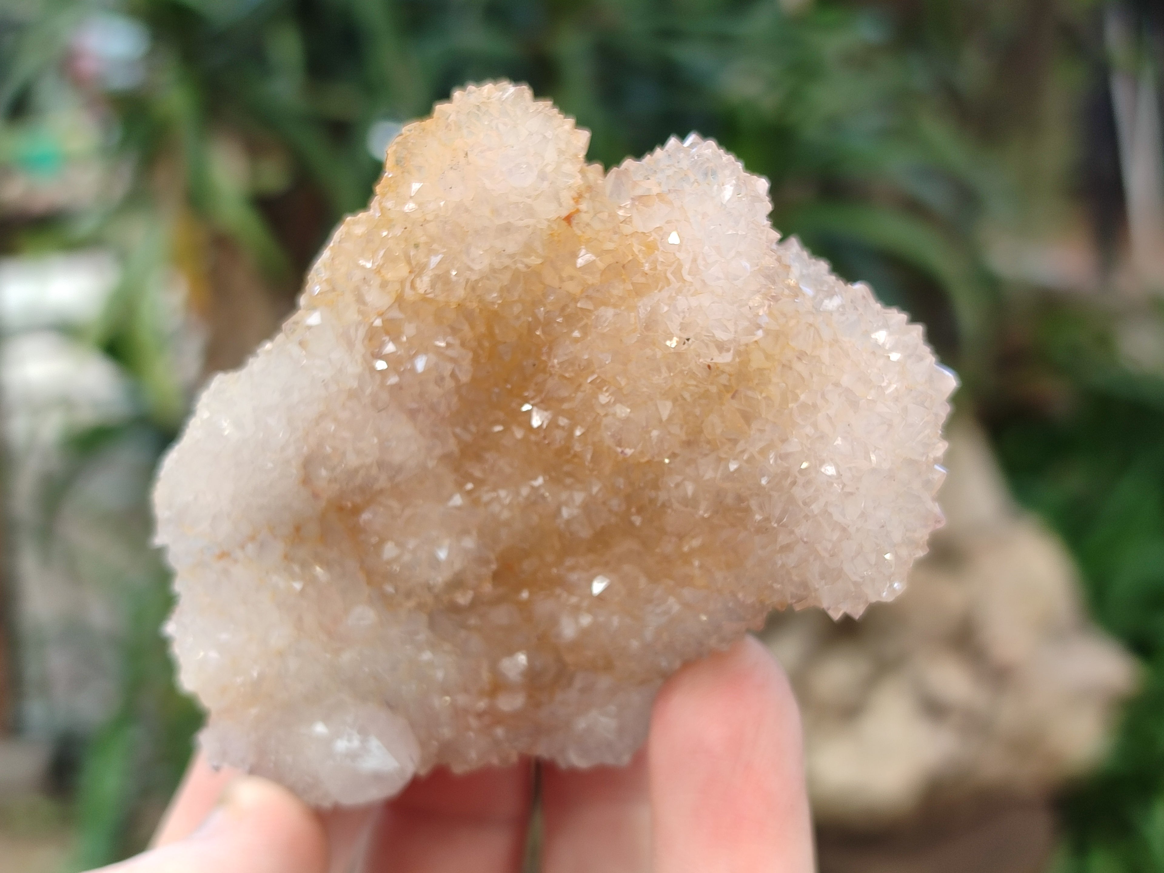 Natural Ametrine Spirit Quartz Clusters x 12 From Boekenhouthoek, South Africa - Toprock Gemstones and Minerals 