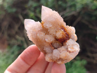 Natural Ametrine Spirit Quartz Clusters x 12 From Boekenhouthoek, South Africa - Toprock Gemstones and Minerals 