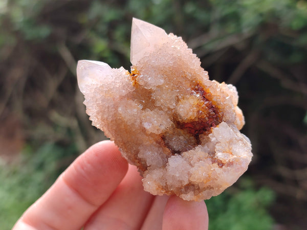 Natural Ametrine Spirit Quartz Clusters x 12 From Boekenhouthoek, South Africa
