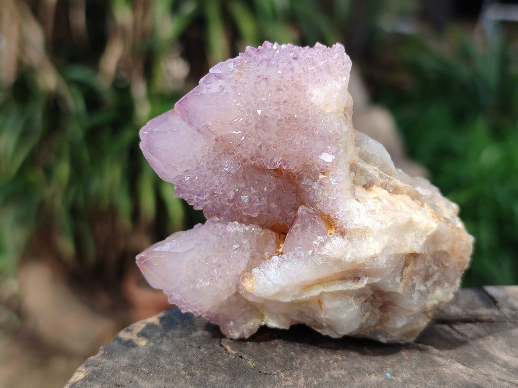 Natural Ametrine Spirit Quartz Clusters x 12 From Boekenhouthoek, South Africa - Toprock Gemstones and Minerals 