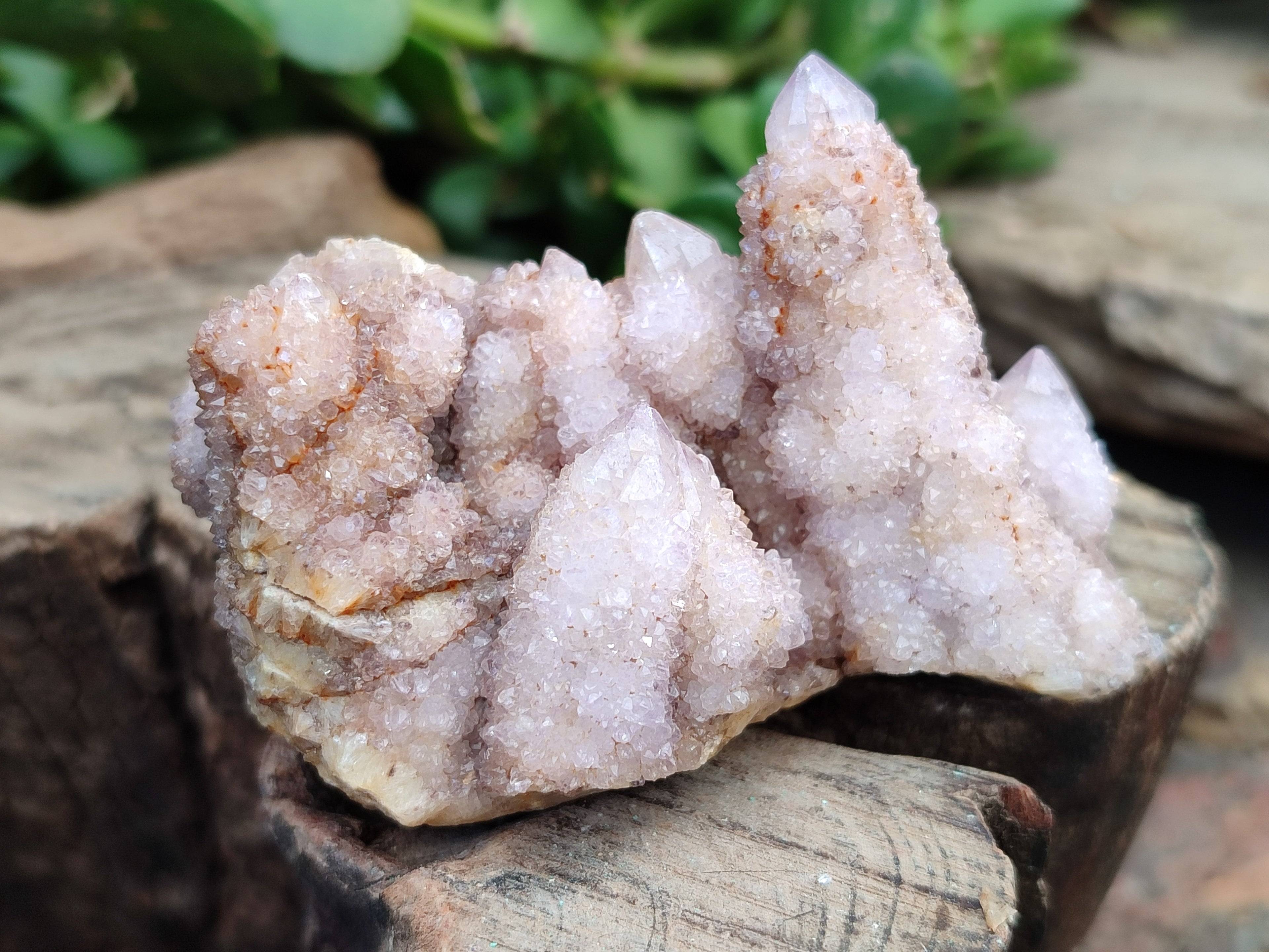 Natural Ametrine Spirit Quartz Clusters x 12 From Boekenhouthoek, South Africa - Toprock Gemstones and Minerals 