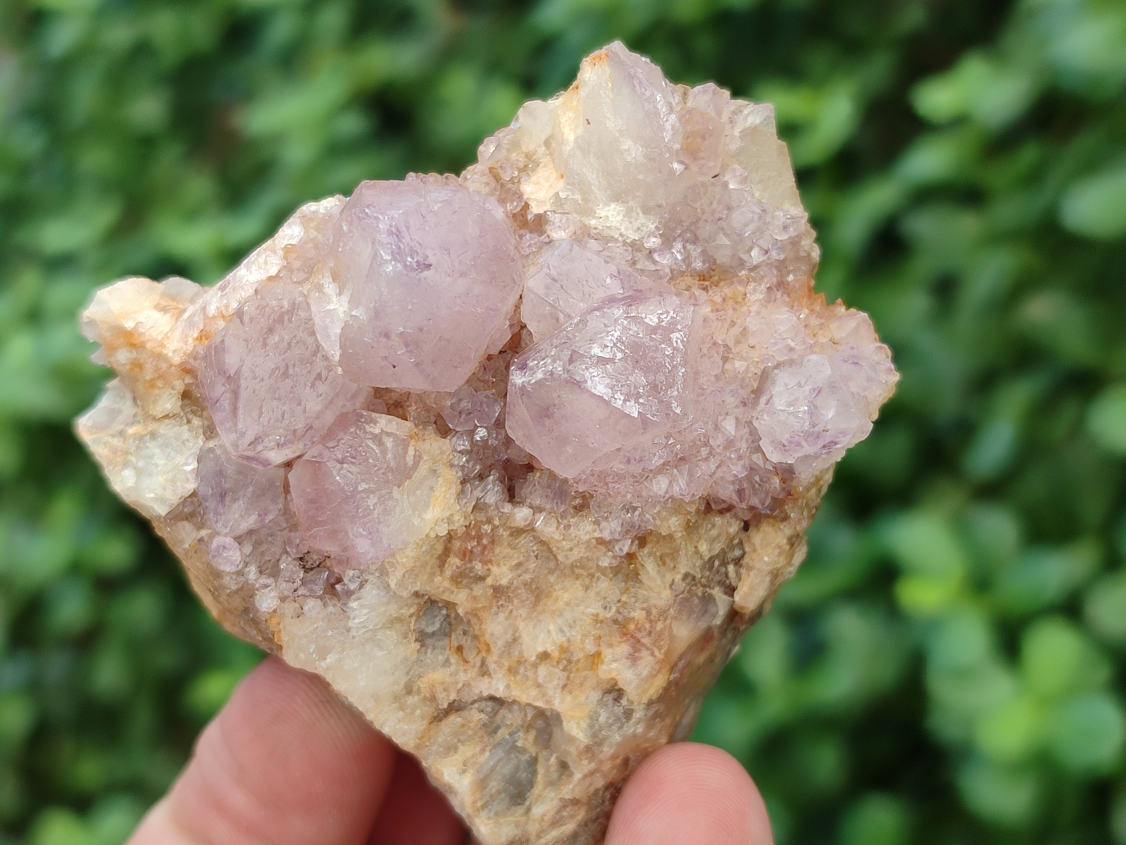 Natural Ametrine Spirit Quartz Clusters x 12 From Boekenhouthoek, South Africa - Toprock Gemstones and Minerals 