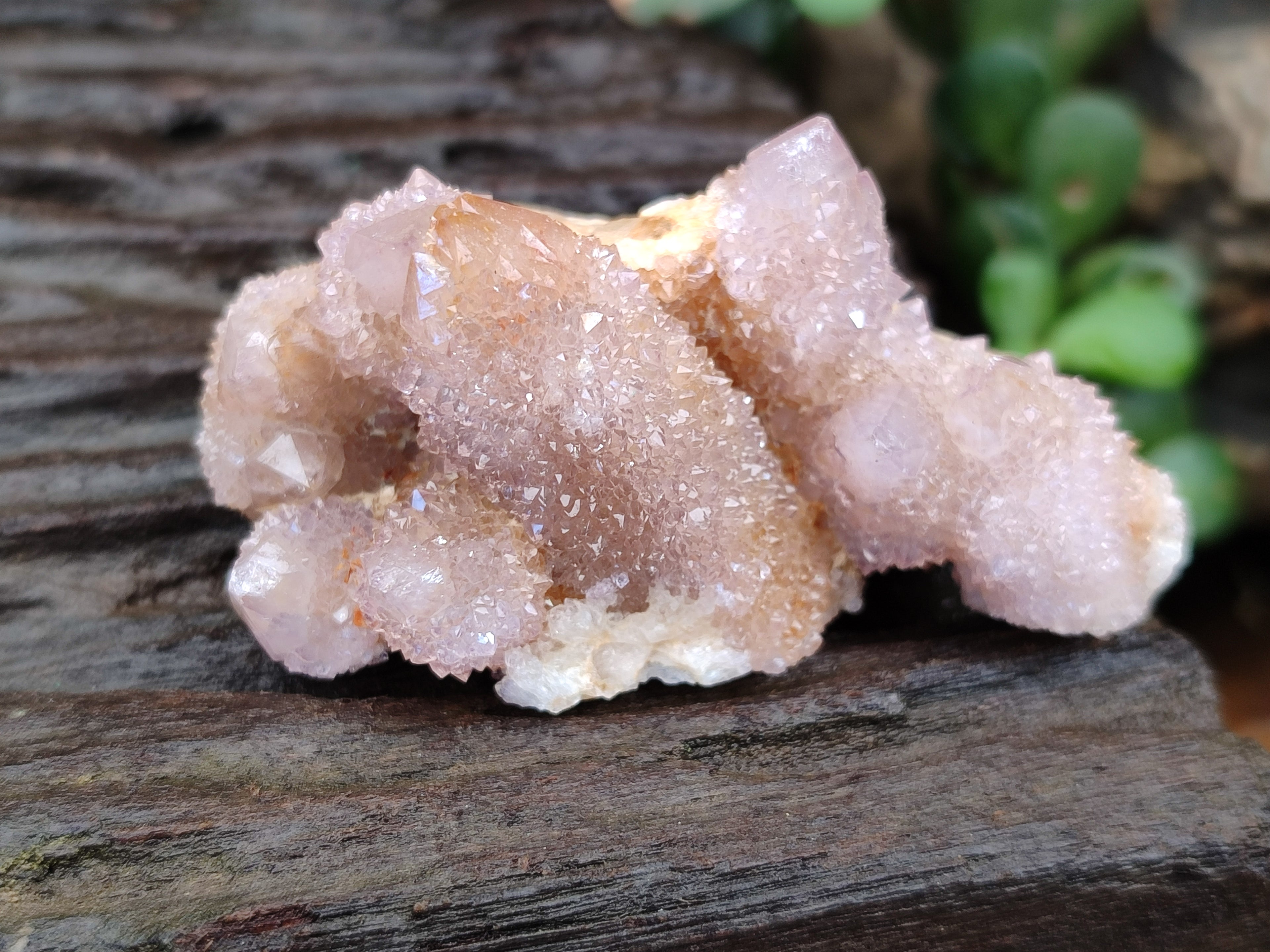 Natural Ametrine Spirit Quartz Clusters x 12 From Boekenhouthoek, South Africa - Toprock Gemstones and Minerals 