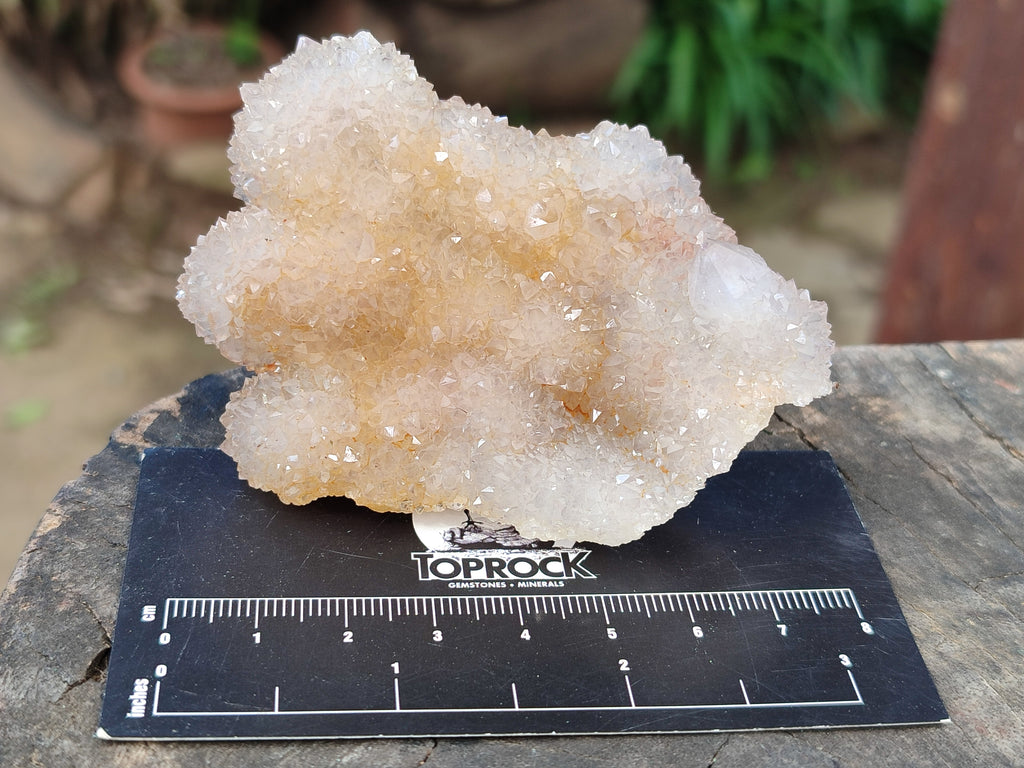 Natural Ametrine Spirit Quartz Clusters x 12 From Boekenhouthoek, South Africa - Toprock Gemstones and Minerals 