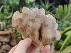 Natural Smokey Phantom Quartz Clusters x 4 From Luena, Congo - Toprock Gemstones and Minerals 