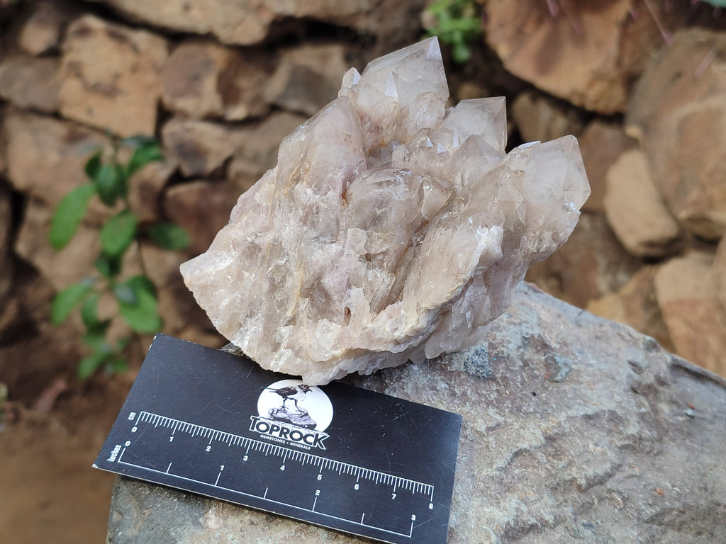 Natural Smokey Phantom Quartz Clusters x 4 From Luena, Congo - Toprock Gemstones and Minerals 