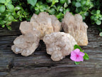 Natural Smokey Phantom Quartz Clusters x 4 From Luena, Congo - Toprock Gemstones and Minerals 