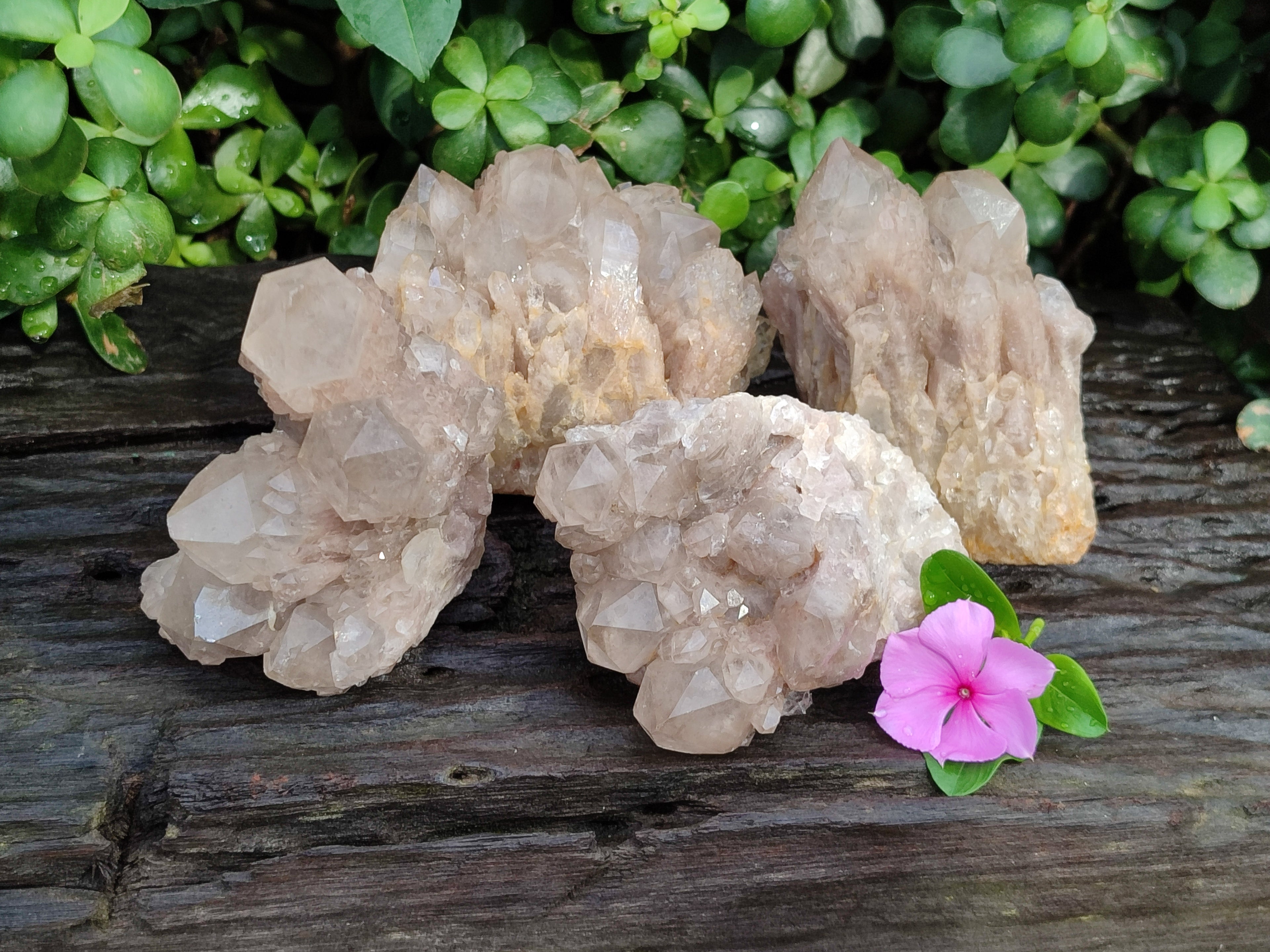 Natural Smokey Phantom Quartz Clusters x 4 From Luena, Congo - Toprock Gemstones and Minerals 