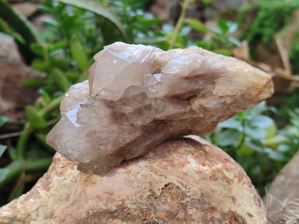 Natural Smokey Phantom Quartz Clusters x 4 From Luena, Congo - Toprock Gemstones and Minerals 