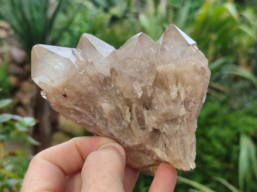Natural Smokey Phantom Quartz Clusters x 4 From Luena, Congo - Toprock Gemstones and Minerals 